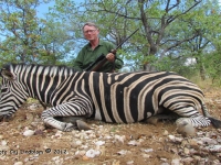 Sigurd Zebra