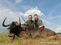 Sigurd Black Wildebeest