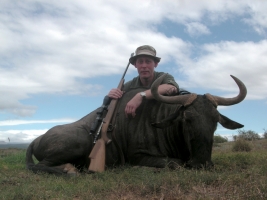 Gustaf N Blue Wildebeest.jpg